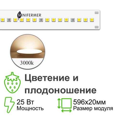 Цветонос - Цветение и плодоношение. Белый свет.