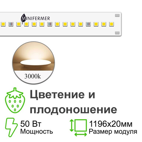 Цветонос- Цветение и Плодоношение. Белый свет.