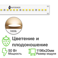 Цветонос- Цветение и Плодоношение. Белый свет.