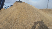 Песчано-щебеночная смесь (ПЩС) ГОСТ 25607-09 с доставкой