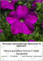 Петуния грандифлора Тритуния Виолет 100др (Syngenta)