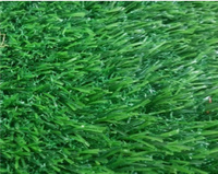 Искусственная трава Wuxi SALG- 2516 (Китай) 25мм