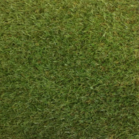 Искусственная трава Betap Quinny 22mm, шир. 4м
