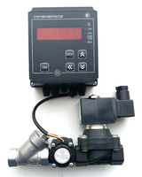 Бюджетный дозатор СИп для воды и жидкостей электронный автоматический