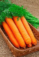 Морковь Самсон 0,5 гр ЗА 1 РУБЛЬ