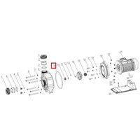 Уплотнительное кольцо корпуса насоса Aquaviva ZWE\WTB