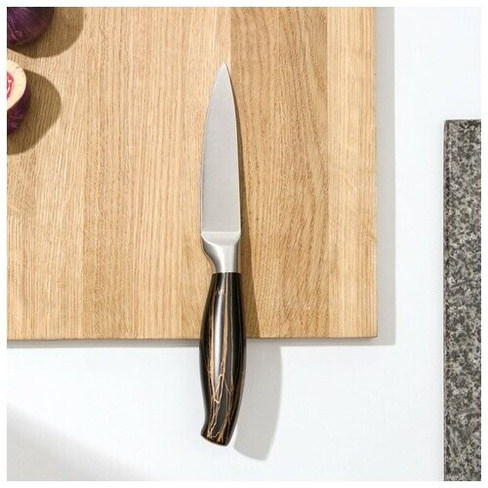 Доляна Нож для овощей кухонный Доляна Zeus, лезвие 9,5 см, цвет чёрный