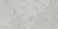 Керамогранит Ariostea Marmi Classici Gris de Savoie luc rett PL612498 60x120 см