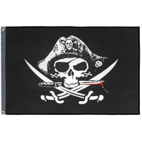 Флаг "Пираты", 60 х 90 см, полиэстер Noname