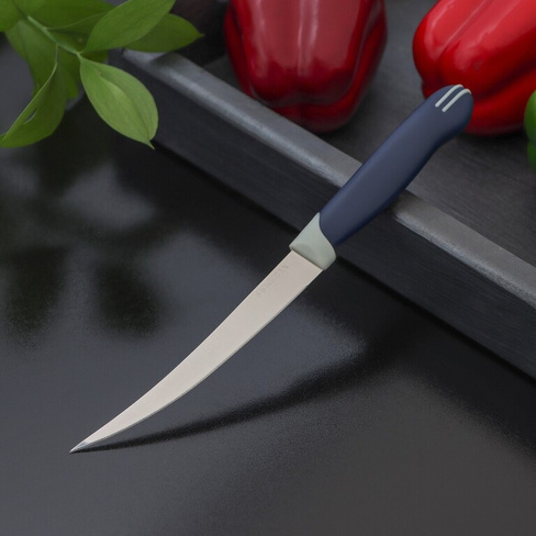Нож кухонный для цитрусовых доляна Доляна